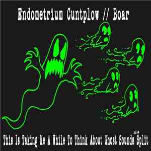 Endometrium Cuntplow // Boar - This Is Taking Me Awhile To Think About Ghost Sounds Split