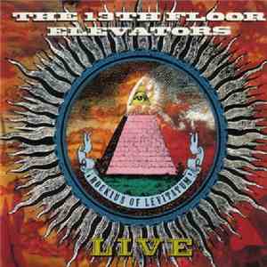 The 13th Floor Elevators - Live