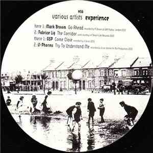 Various - Native Sampler Six : Experience