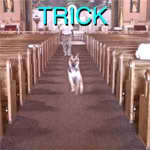 Alex G  - Trick