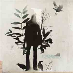 CF Donohoe - Still Space For Ghosts