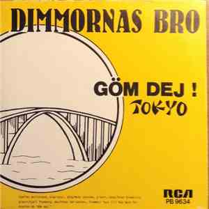 Dimmornas Bro - Göm Dig!