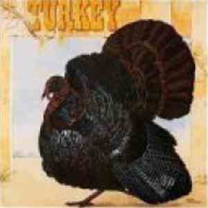 Wild Turkey - Turkey