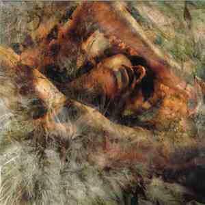 Converge - Unloved And Weeded Out
