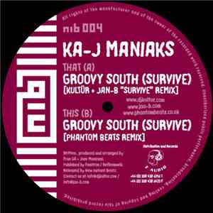 Ka-J Maniaks - Groovy South (Survive)