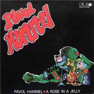 Pavol Hammel - A Rose In A Jelly