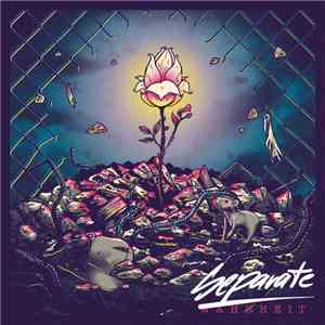 Separate - Wahrheit