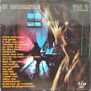 Unknown Artist - Hit Instrumentals Vol.2