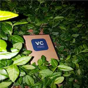 Coppice Halifax & Various - Verdant Compost
