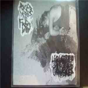 Rigor Mortis In A Frozen Body, Liquified Organ Catheter - Split