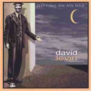 David Levin - Stepping On My Hat