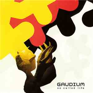 Gaudium - So Called Life
