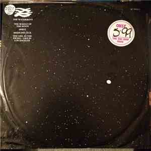 The Waterboys - The Whole Of The Moon