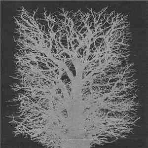 Yellow Eyes - Hammer Of Night