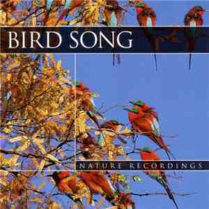 No Artist - Bird Song