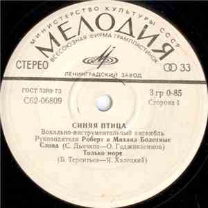 Синяя Птица - Слова