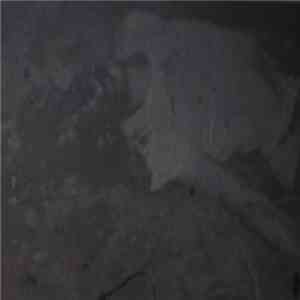 Sleep Column - Passion For The Corpse