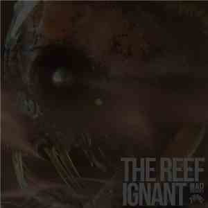 The Reef  - Ignant