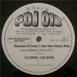 Various - Pro DJ International Issue 15
