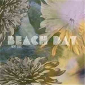 Beach Day - Native Echoes