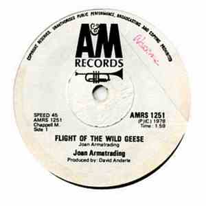 Joan Armatrading - Flight Of The Wild Geese
