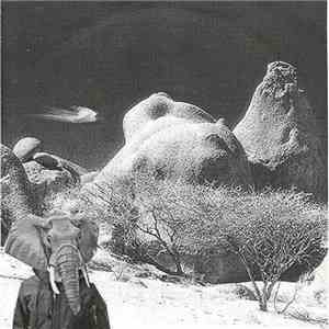 Boy Omega - Puma Mountain