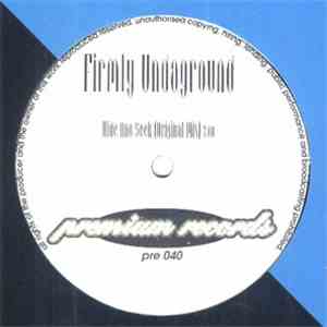 Firmly Undaground - Hide And Seek