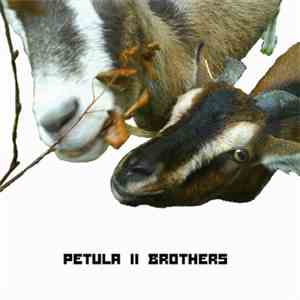 Petula - Brothers