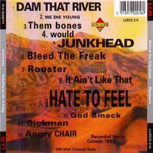 Alice In Chains - Desert