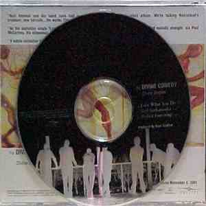 The Divine Comedy - Divine Singles