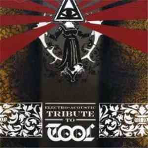 Unknown Artist - Electro-Acoustic Tribute To Tool