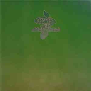 Boris  With Merzbow - Walrus / Groon