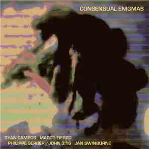 Jan Swinburne - Consensual Enigmas