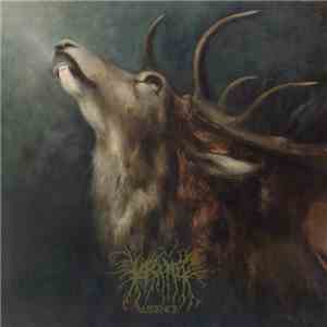 Lascar - Absence