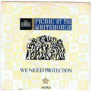 Picnic At The Whitehouse - We Need Protection