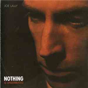 Joe Lally - Nothing Is Underrated