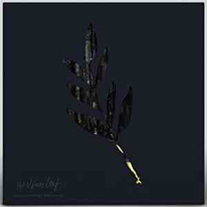 The Album Leaf - An Orchestrated Rise To Fall