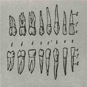 Aube / Smell + Quim - G-Radiation / The Transubstantiation Of The Shit Of Christ