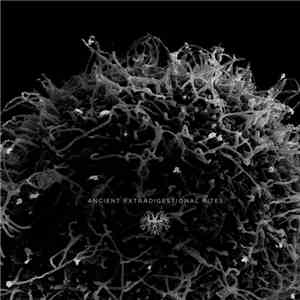 Daemogog - Ancient Extradigestional Rites