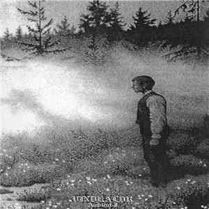 Vindkaldr - Ambient I