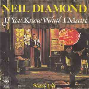 Neil Diamond - If You Know What I Mean