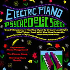 The Electric Piano Playground - Psychedelic Seeds