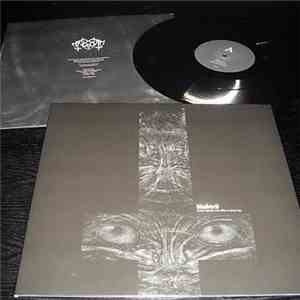 Blodsrit - The Well Of Light Has Finally Dried