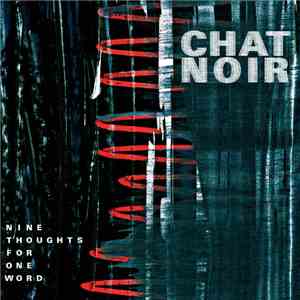 Chat Noir  - Nine Thoughts For One Word