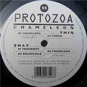 Protozoa - Chameleon