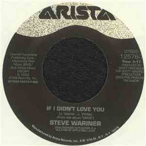Steve Wariner - If I Didn't Love You / The Same Mistake Again