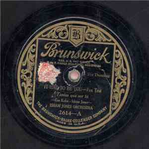 Isham Jones Orchestra - It Had To Be You / After The Storm