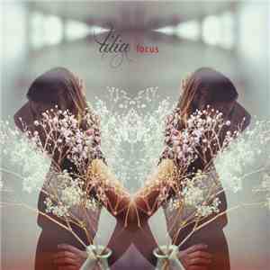 Tilia - focus