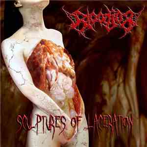 Bloodjob - Sculptures of Laceration