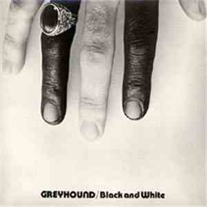 Greyhound - Black And White